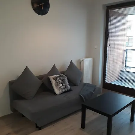 Apartment Mg Siedmiogrodzka *